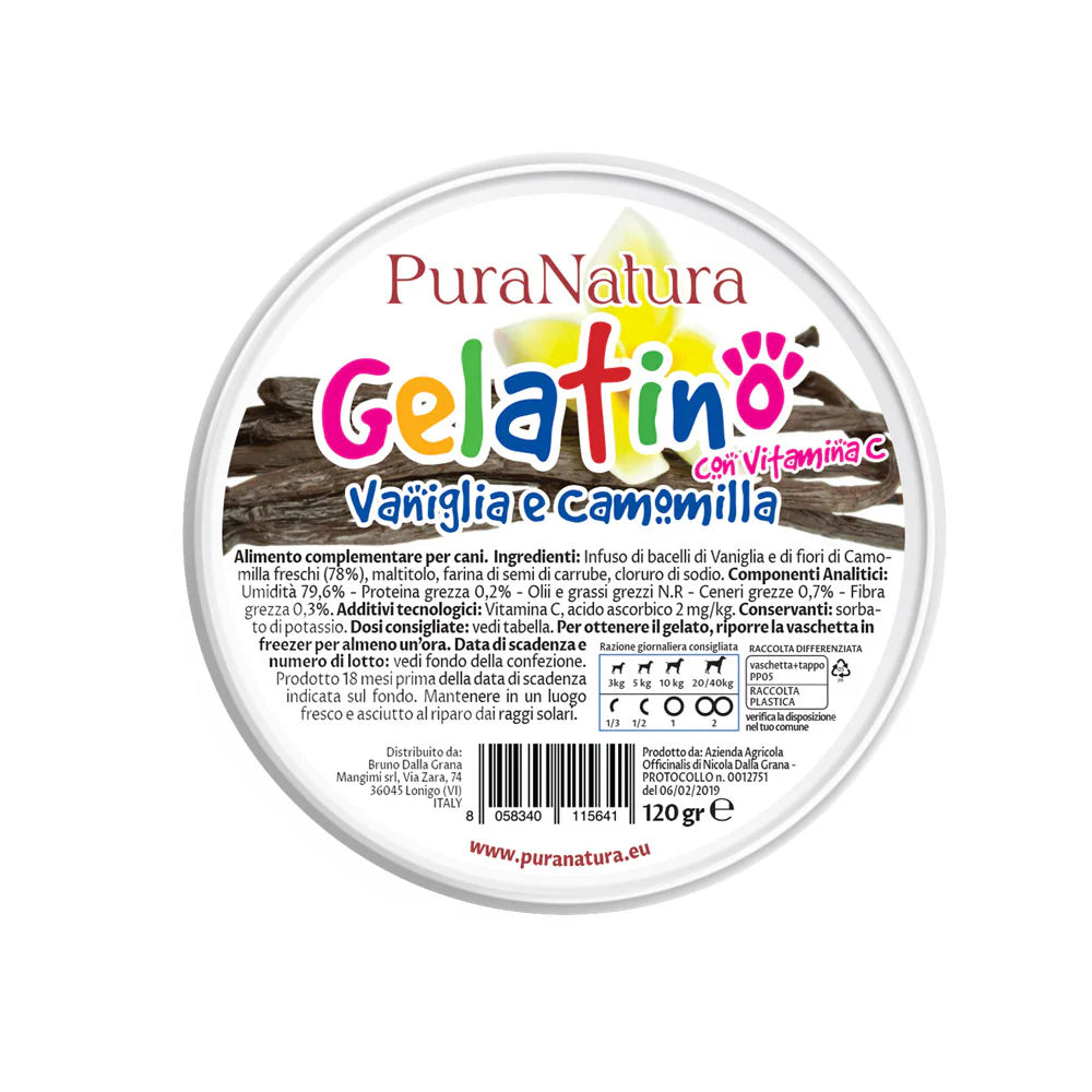 GELATINO ALLA VANIGLIA - Gelato per Cani