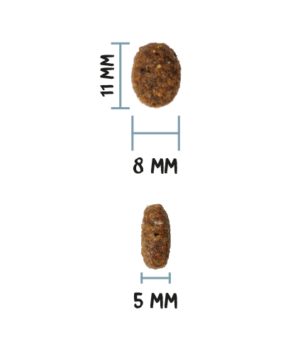 OWNAT ULTRA MATURE STERILIZED FISH