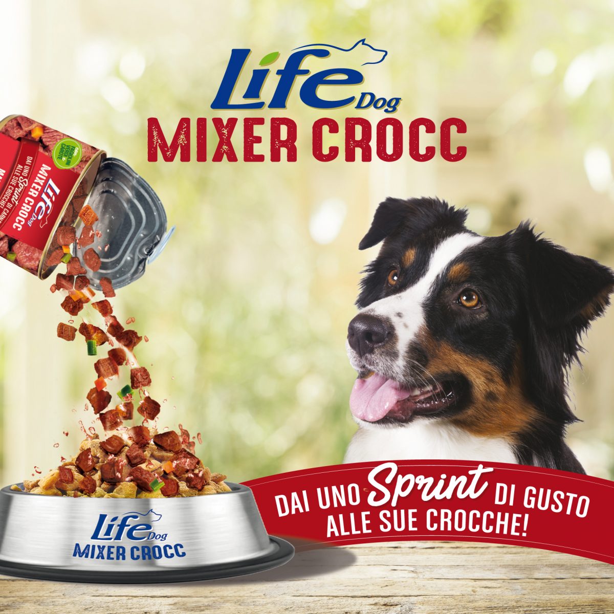 Mixer Crocc