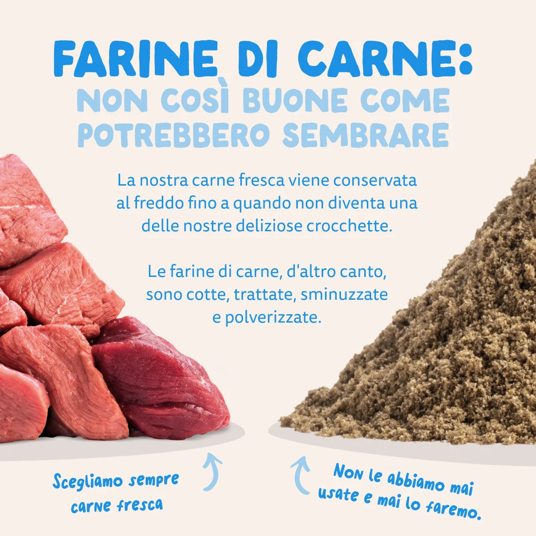 Salmone Fresco