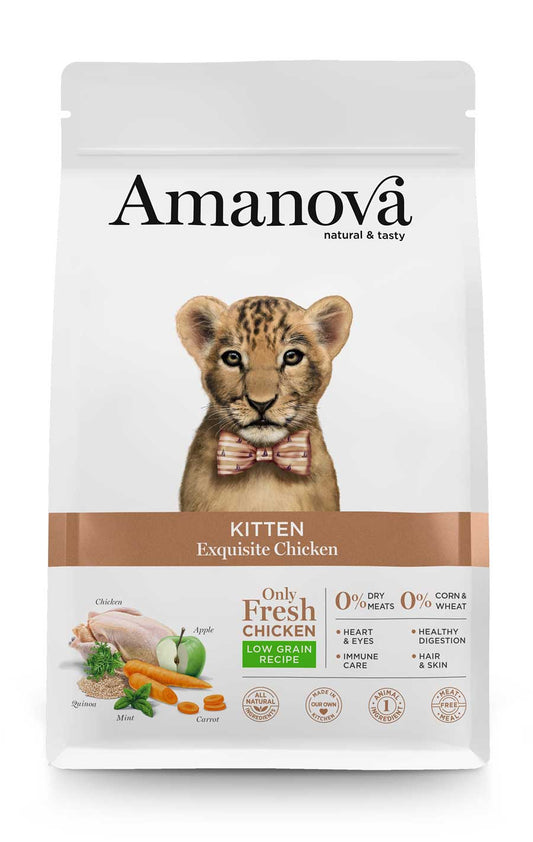 Kitten Exquisite Chicken Pollo fresco