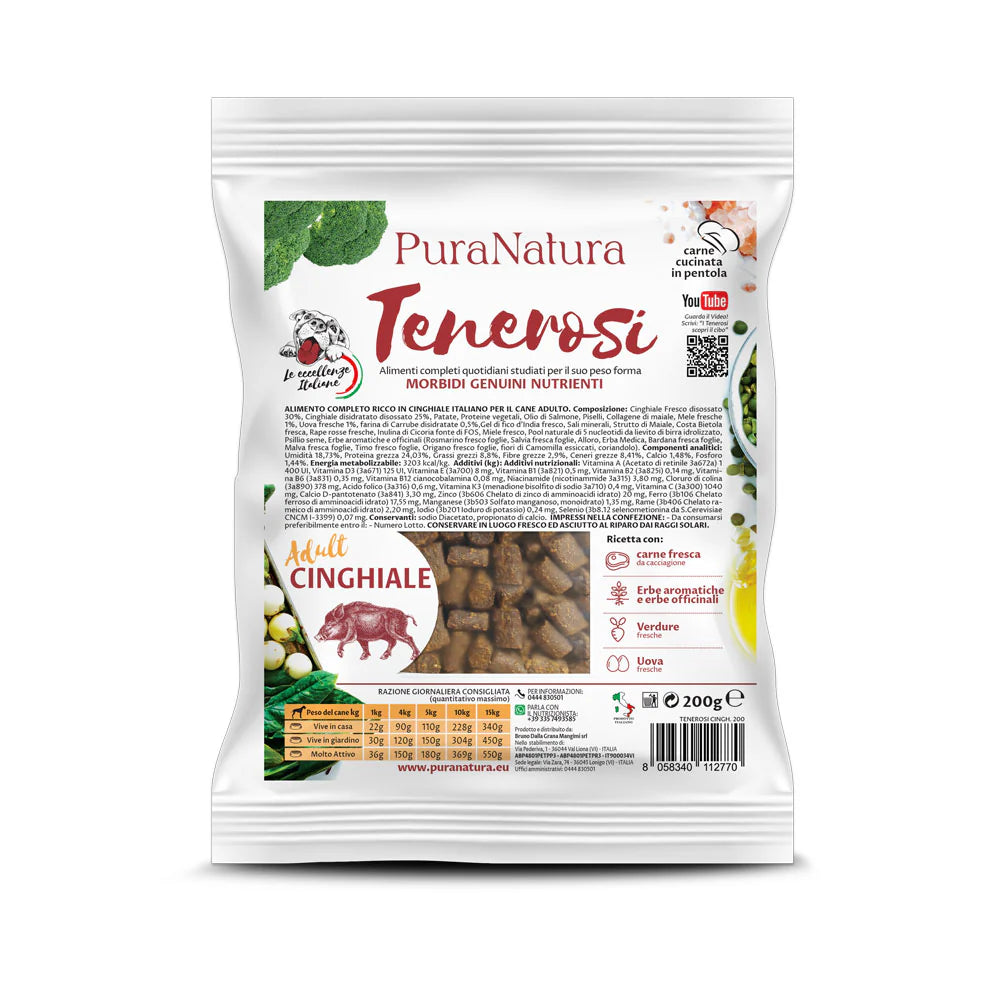 TENEROSI CINGHIALE