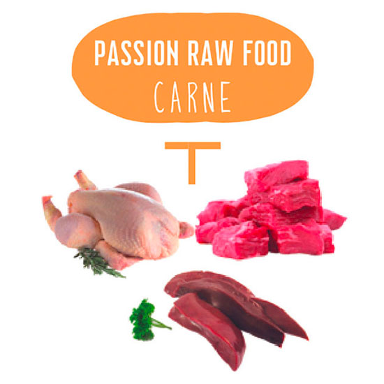Raw Food carne