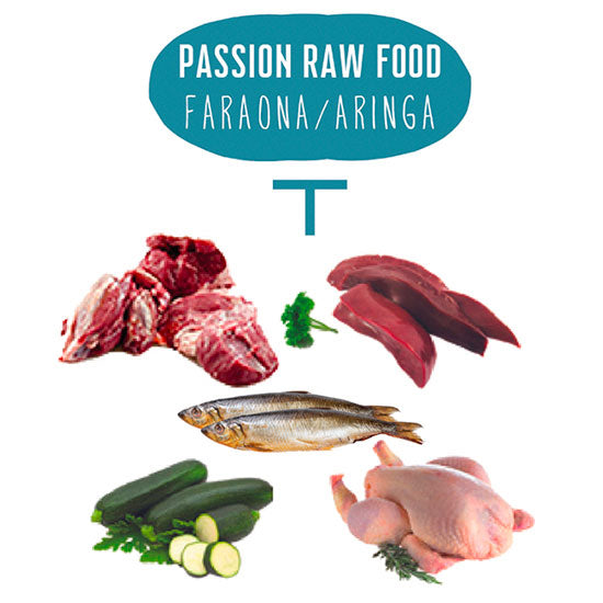 Raw Food Faraona/Aringa