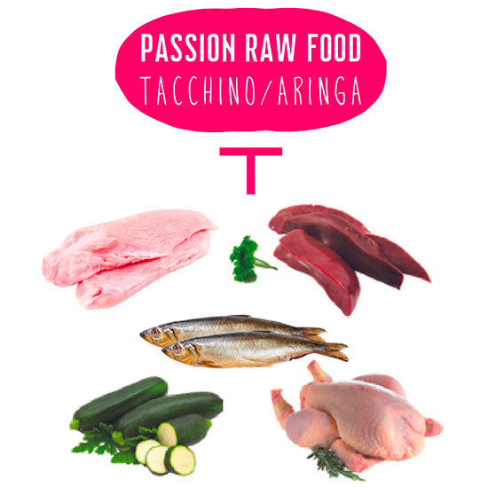 Raw Food Tacchino/Aringa