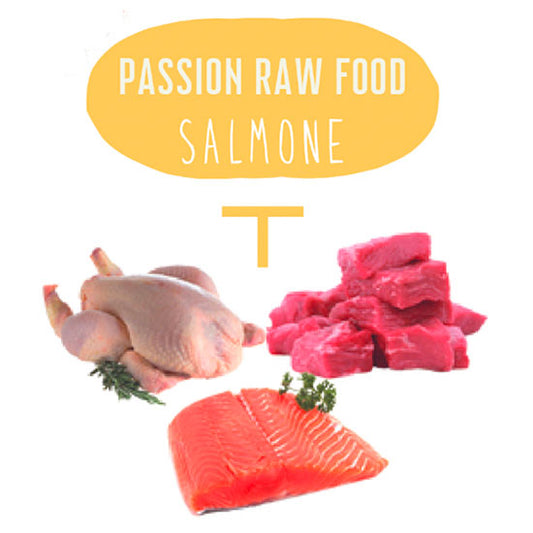 Raw Food salmone